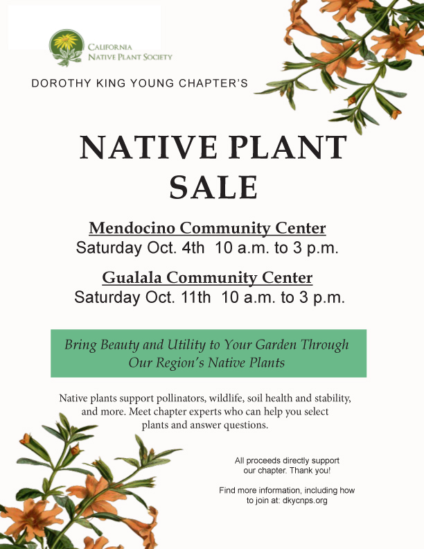 DKY 2025 Native Plant Sale Poster