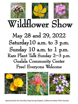 2022 DKY WildFlower Poster