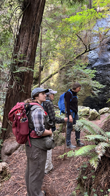 Chamberlaine Creek Waterfall-JDSF