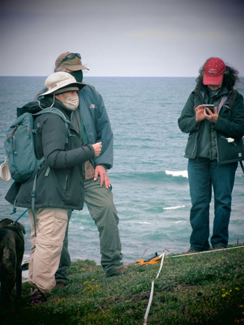 Glass Beach-Lupine, Teresa Sholars, Jim Gibson, Renee Pasquinelli