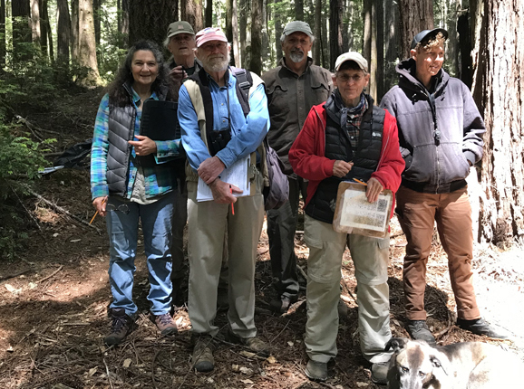 Renee Pasquinelli, Jim Gibson, Dave Hartesveldt, Mario Abreu, Teresa Sholars, Lupine, Stevie Jean