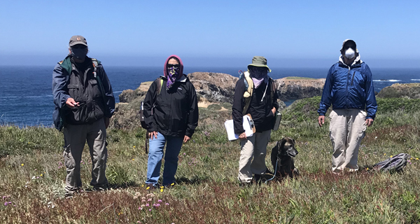 Mendocino Headlands Covid-19 Protocols at Mendocino Headlands